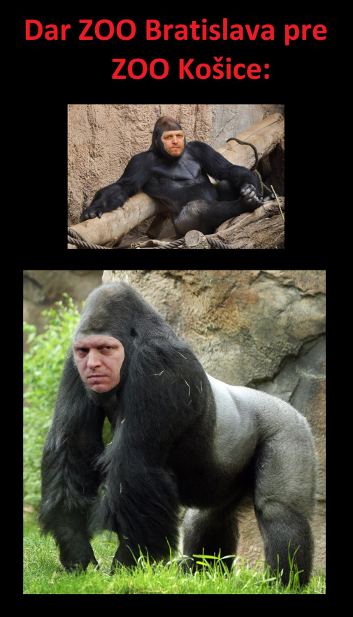 Dar...
