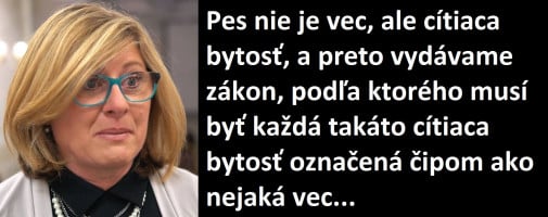 Gabriela Zmatečná: